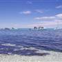 Rottnest Island