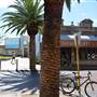 Northbridge precinct