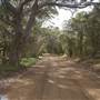 Thomas Rd - Lower Denmark