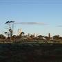 Goldfields - Esperance Region