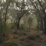 Great Eastern  Highway