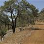 John Forrest National Park