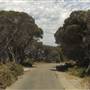 Rottnest Island