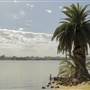 Swan River
