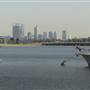 Canning Bridge