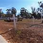 New Norcia - Cemetery