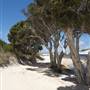 Nanarup Beach & Road