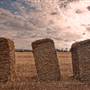 Wheatbelt Region