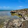Abrolhos Islands - East Wallabi