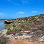 Abrolhos Islands - East Wallabi