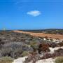 Abrolhos Islands - East Wallabi