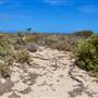 Abrolhos Islands - East Wallabi