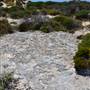Abrolhos Islands - East Wallabi