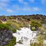 Abrolhos Islands - East Wallabi