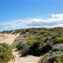 Cape Peron - Rockingham - from land