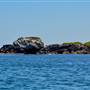 Cape Peron - Rockingham - from water