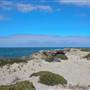 Garden Island -  Overview