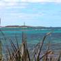 Garden Island - Goodwin Point - from Land