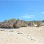 Garden Island - Gilbert Point - from land
