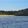 Garden Island - Calista Point - from water
