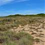 Garden Island - Old Quarry