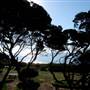 Gracetown