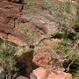 Karijini National Park - Dales Gorge