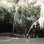 Karijini National Park - Hamersley Gorge