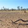 Derby - road from Broome to Derby