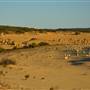Pinnacles - Nambung National Park