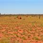 Port Hedland - Road heading north