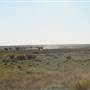 Port Hedland - Road heading north
