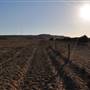 Chapman Valley