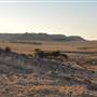 Chapman Valley