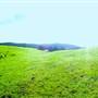 Nannup - Xmas Brook Farm