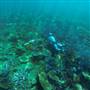 Abrolhos Islands  - Aerials