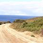 Shelley Beach & surrounds - West Cape Howe National Pk