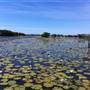 Parry Lagoons Nature Reserve
