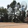 Windmill Roadhouse Regans Ford