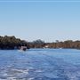 Murray River and Peel-Harvey Estuary