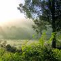 Dwellingup