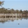 Lake Towerrinning