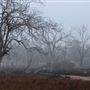 Capercup Nature Reserve