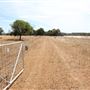 Darkan to Collie Rail Trail
