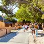 Wadjemup Rottnest Island - Overview