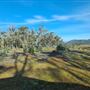 Craigendarroch, Porongurup
