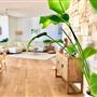 Dunsborough Beach House