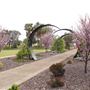 Queens Gardens