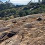 Lesmurdie Falls