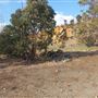 Statham's Quarry